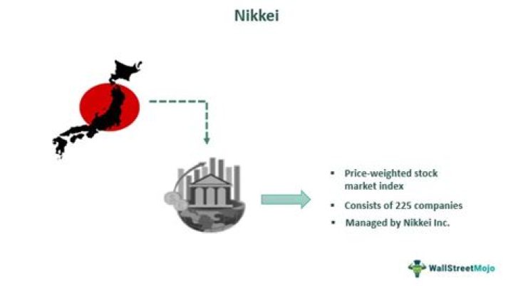 Is Nikkei a public company?