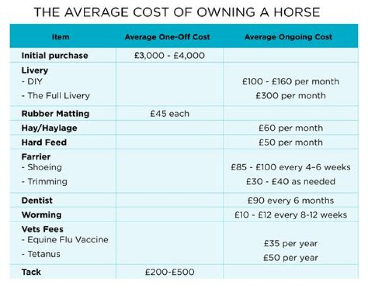Is owning a horse stable profitable?