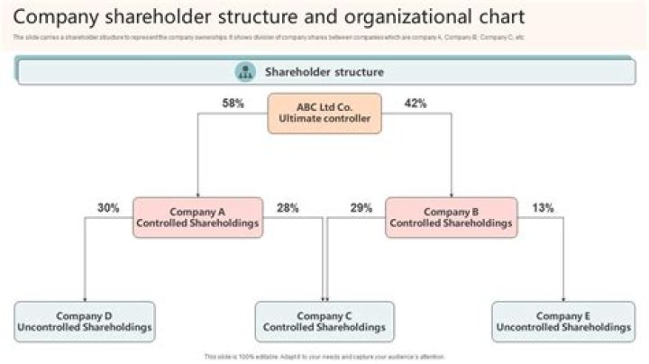 Is shareholder and owner the same?