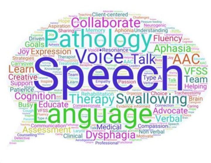 Is speech and language a related service?