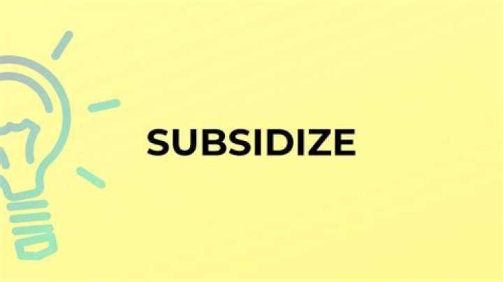 Is subsidize a word?
