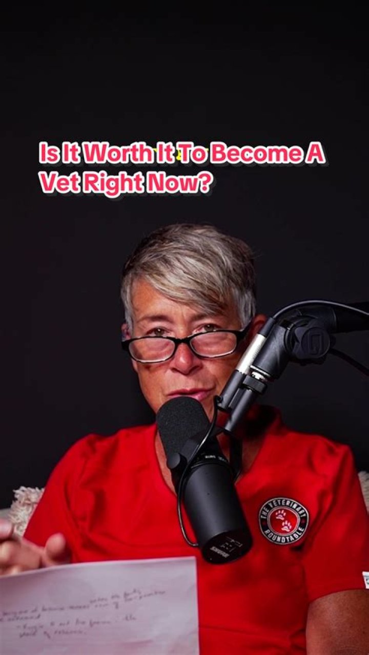 Is the cost of vet school worth it?