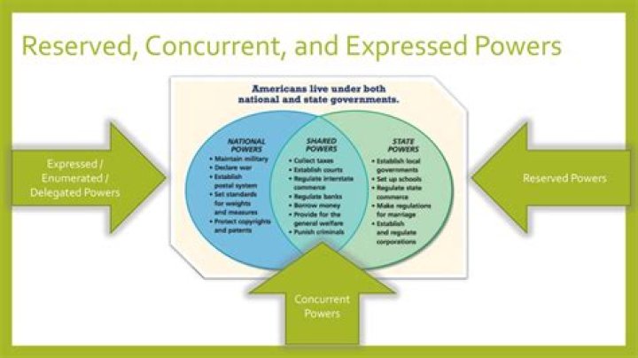 Is the power to borrow money is delegated reserved or shared?