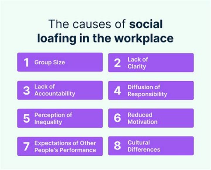 Is the tendency for individuals to expend less effort when working collectively than alone?