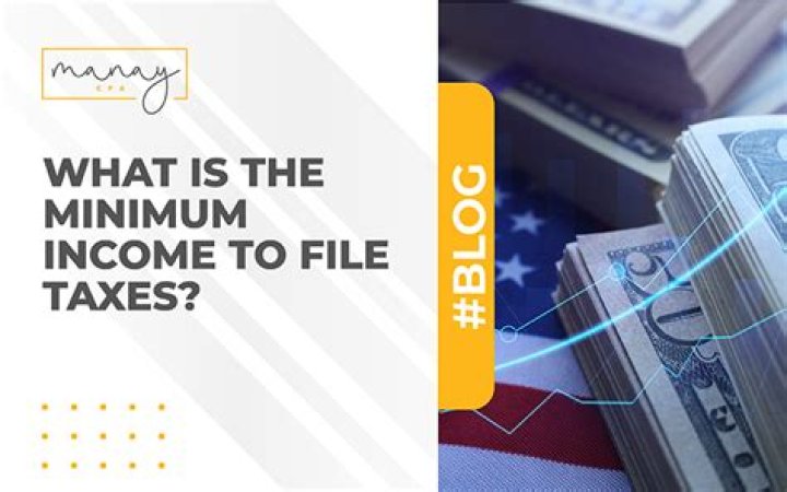 Is there a minimum amount required to file taxes?