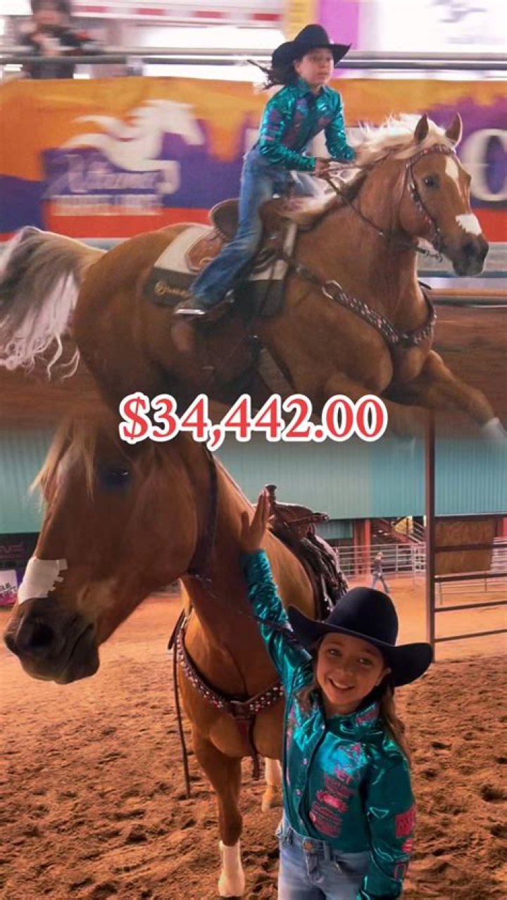 Is there money in horse training?