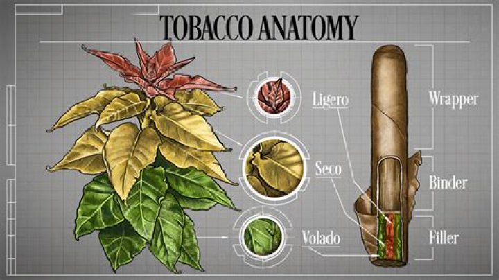 Is tobacco a good stock to buy?