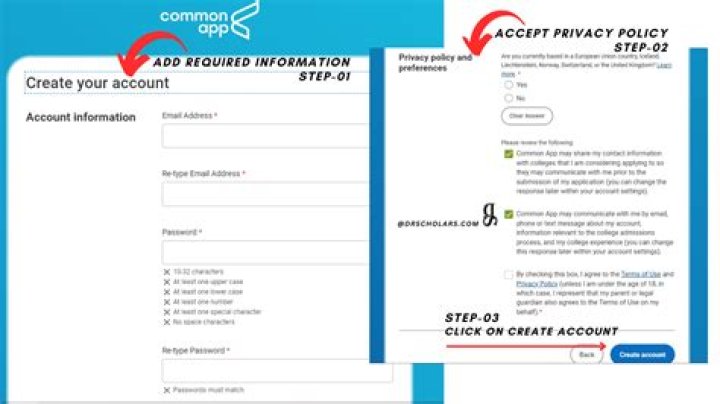 Should I use the additional information Common App?