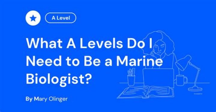 WHAT A levels do you need for PE at uni?