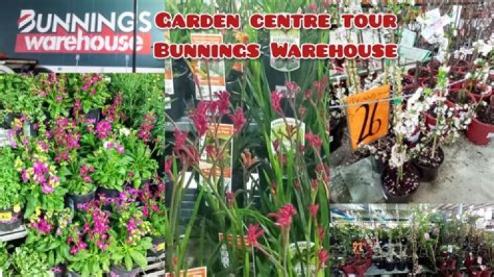 What Age Can u work at Bunnings?