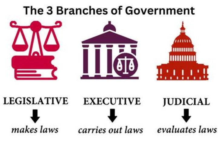 What are 3 examples of the government providing services?