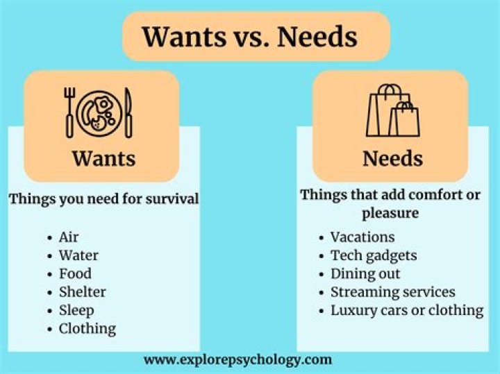 What are 3 examples of wants What are 3 examples of needs?