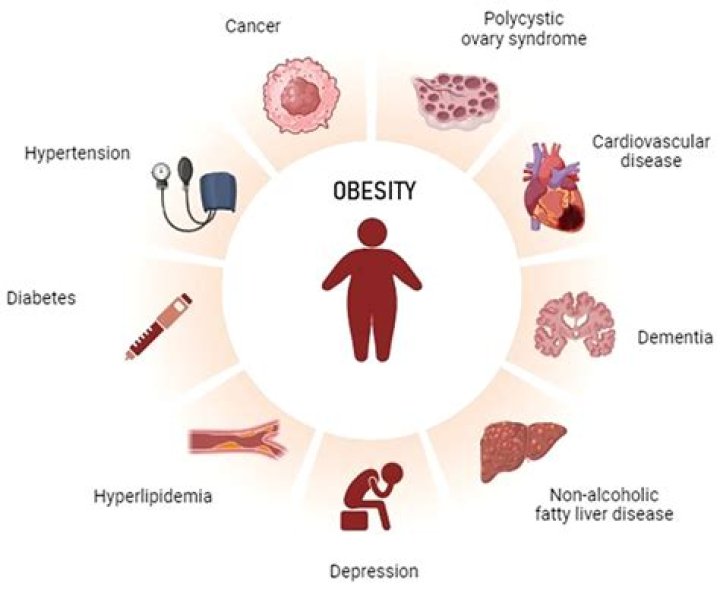What are 5 health problems associated with obesity?