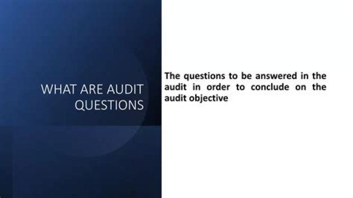 What are audit questions?