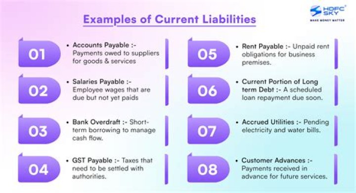 What are borrowings in current liabilities?