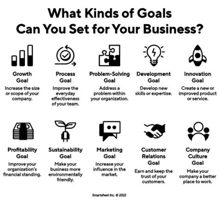 What are business goals examples?