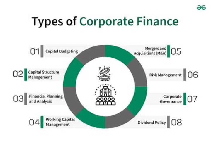 What are corporate finance issues?