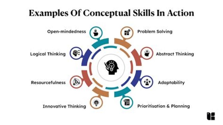 What are examples of conceptual skills?