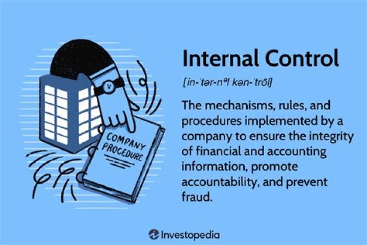 What are internal controls in an organization?
