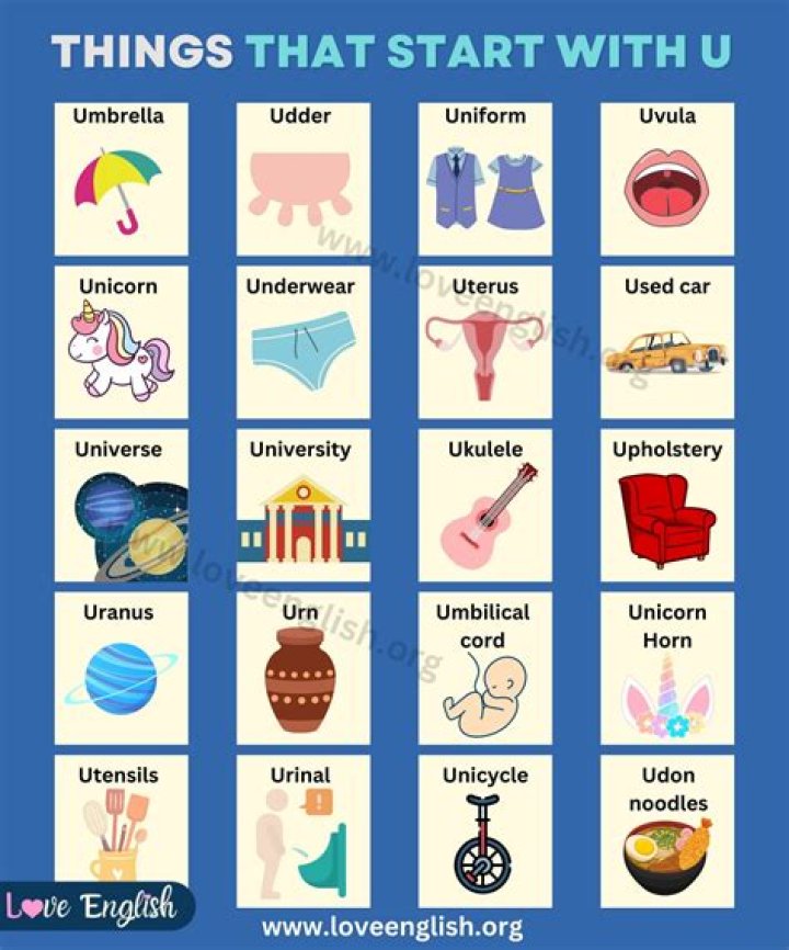 What are items that start with U?