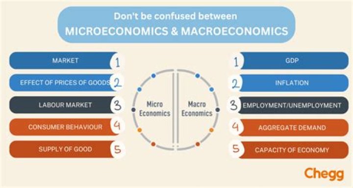 What are macro economic issues?