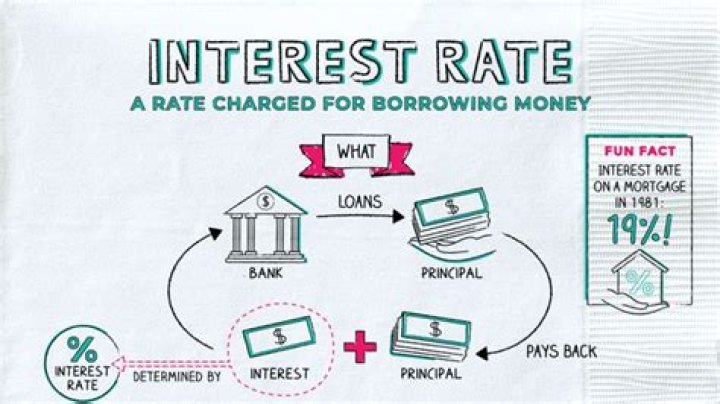 What are major factors that can affect the cost of borrowing money?