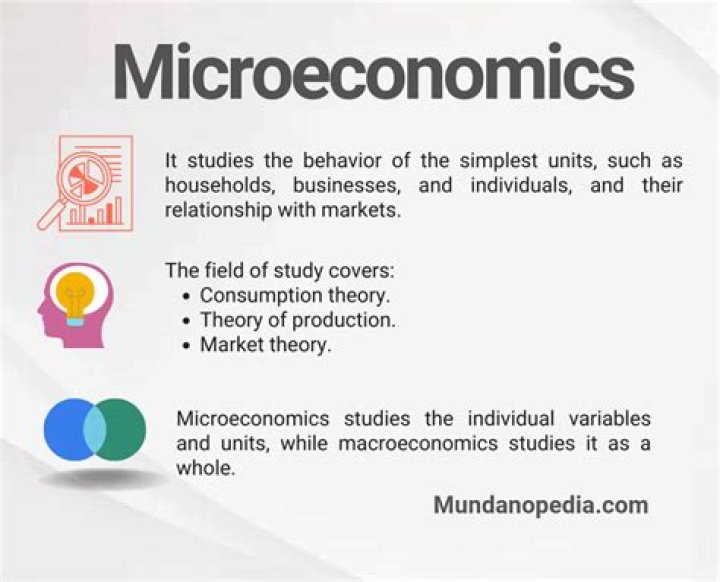 What are microeconomic questions?