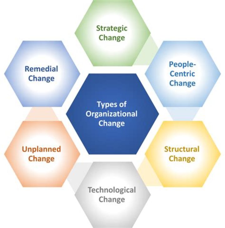 What are organizational trends?