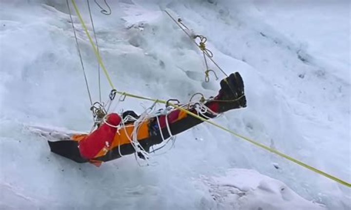 What are people who pick dead bodies called?