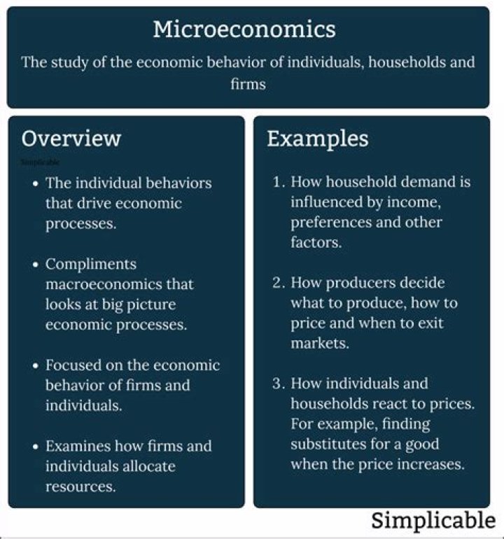 What are some examples of microeconomics?
