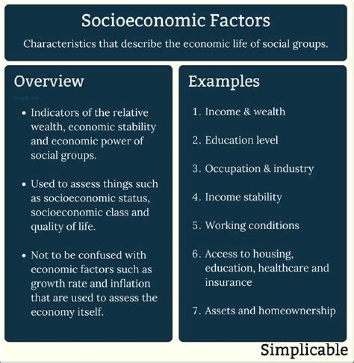 What are some examples of socio-economic factors?
