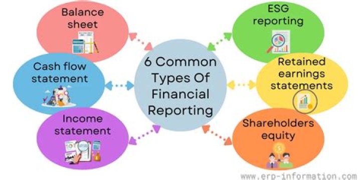 What are some of the financial reporting issues?