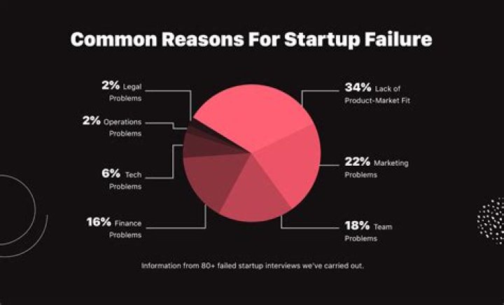 What are some of the main reasons why start up businesses either succeed or fail?