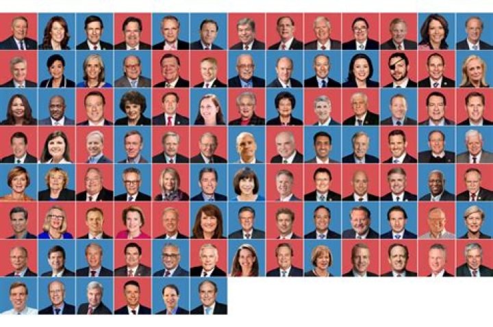 What are some privileges of members of Congress?