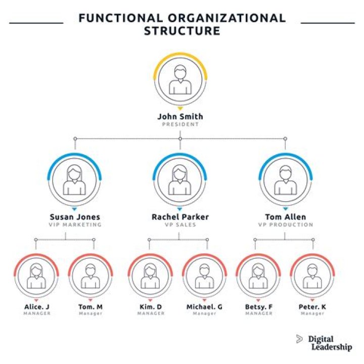 What are the 3 organizational patterns?