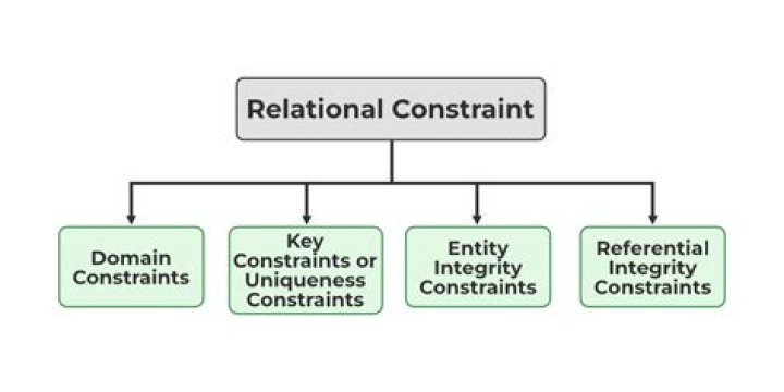 What are the 3 three database constraints?