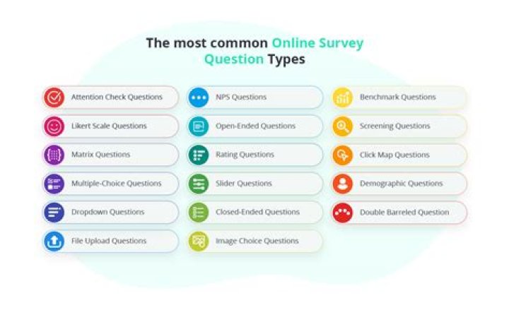 What are the 4 question types?