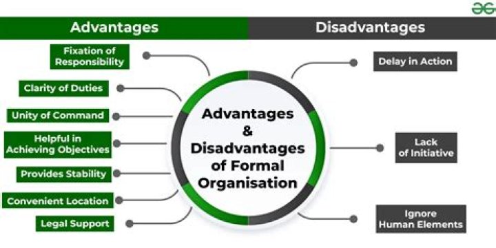 What are the advantages and disadvantages of a formal and informal organization?