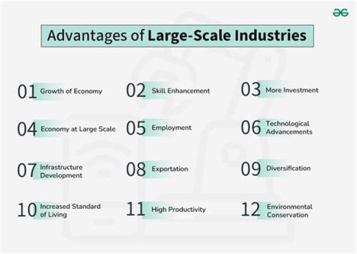 What are the advantages and disadvantages of small scale industry?
