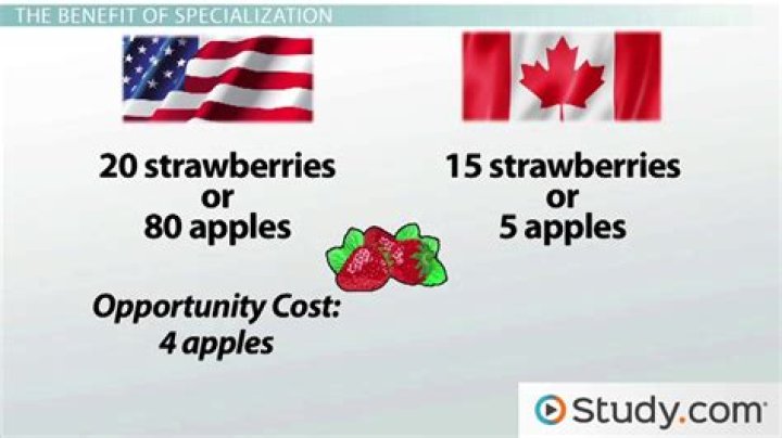 What are the benefits of specialization and trade?