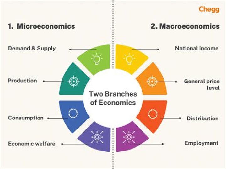 What are the branch of economics?