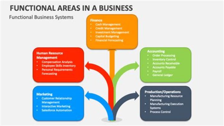 What are the business areas processed in Gfebs?