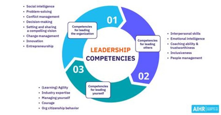 What are the competencies of an entrepreneur?