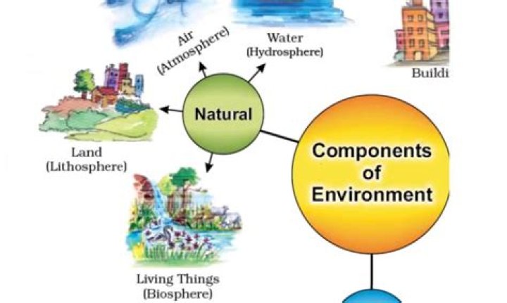 What are the components of environment analysis?