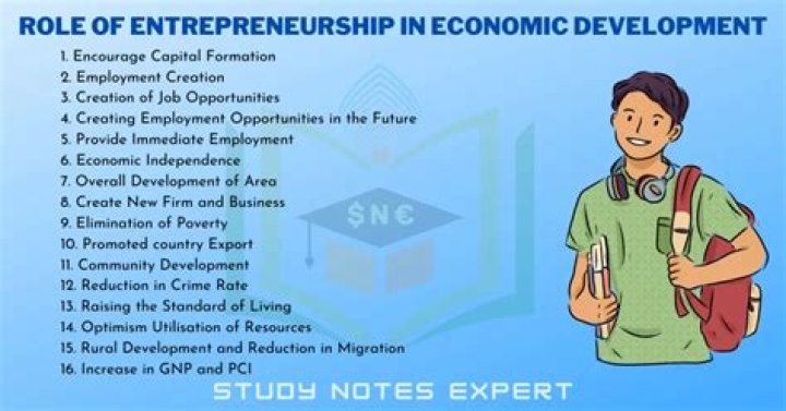 What are the contributions of entrepreneurs to economic development?