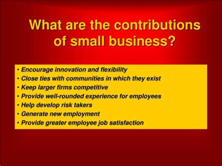 What are the contributions of small businesses?