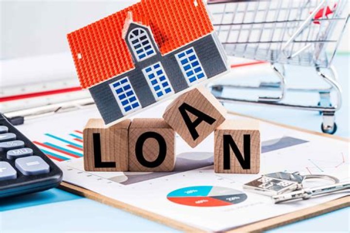 What are the demand loans?