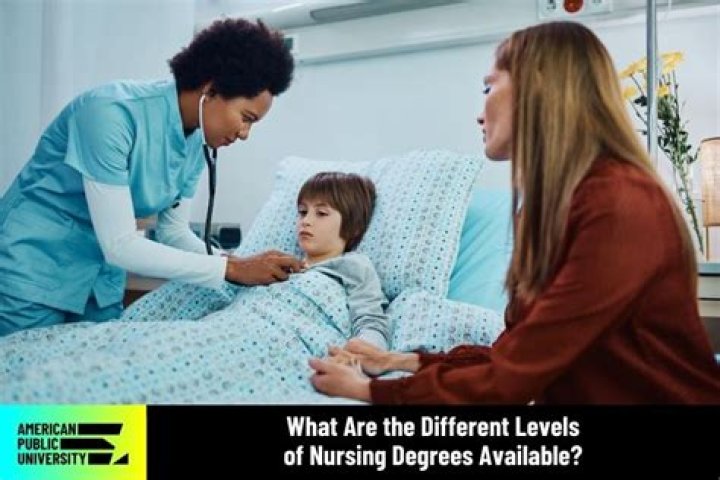 What are the different levels of nursing degrees?