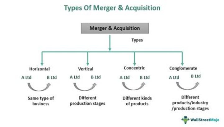 What are the different types of mergers and acquisitions?