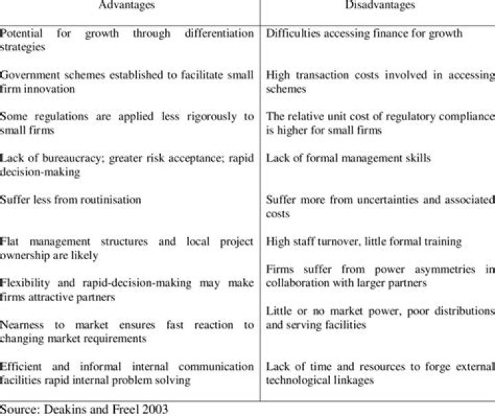 What are the disadvantages of small firms?